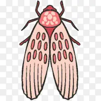 �ɶ� ���� Ĥ-������