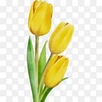 ˮ�� ���� ʪī-������