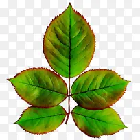 水彩 油漆 湿墨-空若网 水彩 油漆 湿墨-空若网