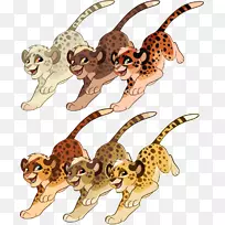 猎豹,猫,狮子,,动物-猎豹-空若网 猎豹,猫,狮子,,动物-猎豹-空若网