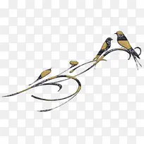 ���� ���� Ů����-������