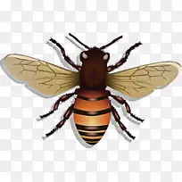 ÃÛ·ä Î÷·½ÃÛ·ä ´ó»Æ·ä-¿ÕÈôÍø ÃÛ·ä Î÷·½ÃÛ·ä ´ó»Æ·ä-¿ÕÈôÍø