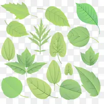 水彩画 颜料 湿墨-空若网 水彩画 颜料 湿墨-空若网