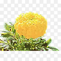 ��ͨ �л� ��ɫ-������