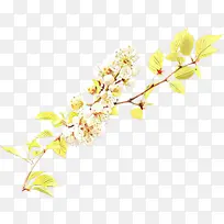 卡通 树枝 切花-空若网 卡通 树枝 切花-空若网