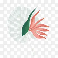 花瓣 叶子 开花植物-空若网 花瓣 叶子 开花植物-空若网