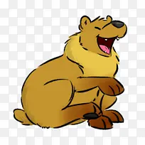 红狐 猫 啮齿动物-空若网 红狐 猫 啮齿动物-空若网