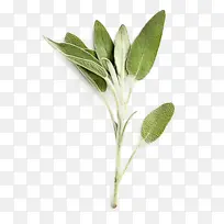 ˮ�ʻ� ���� ʪī-������