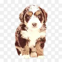 卡通 斗鸡犬 小狗-空若网 卡通 斗鸡犬 小狗-空若网