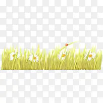 ��ͨ �����ֽ ��-������