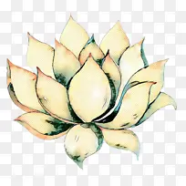 �������� ���� ����ֲ��-������