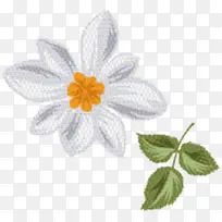 牛眼雏菊 花瓣 花-空若网 牛眼雏菊 花瓣 花-空若网