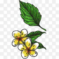 花卉设计 切花 蝴蝶-空若网 花卉设计 切花 蝴蝶-空若网