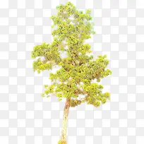 卡通 水彩画 素描-空若网 卡通 水彩画 素描-空若网