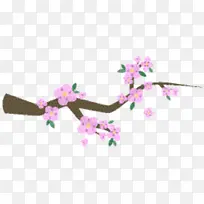 花卉设计 花朵 切花-空若网 花卉设计 花朵 切花-空若网