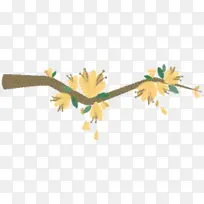 ��֦ ֲ�ﾥ ��-������