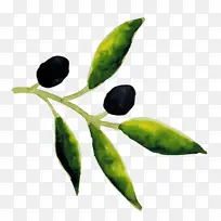 信息 电子邮件 水果-空若网 信息 电子邮件 水果-空若网