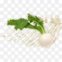 萝卜 蔬菜 食品-空若网 萝卜 蔬菜 食品-空若网