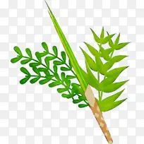 ˮ�� ���� ʪī-������