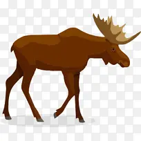 ��¹ ������Ӱ ����-������