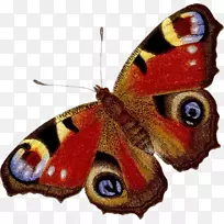 С��ȸ����-������