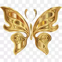 蝴蝶昆虫计算机图标昆虫-空若网 蝴蝶昆虫计算机图标昆虫-空若网