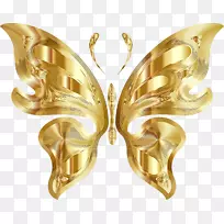 �������������ֽ����������-������