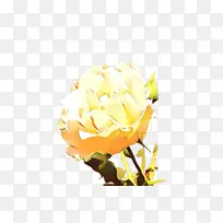 õ�� ���� ����-������