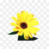 ���پ� ���� ��-������