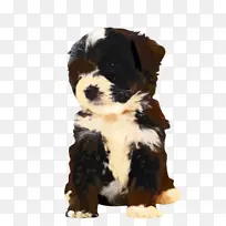 �ɰ��Ĺ� ���� ����-������