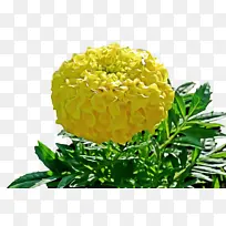 ���پ� ���� ����-������