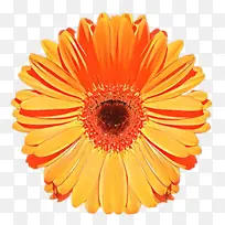 ���پ� ���� ����-������