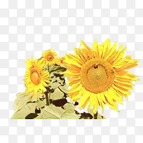 ���տ� �� ֲ��-������