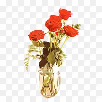 玫瑰 开花 花朵-空若网 玫瑰 开花 花朵-空若网