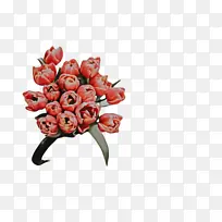 ������ ���� ֲ��-������