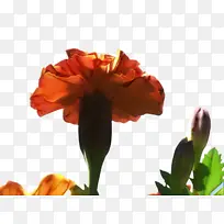 ���پ� ���� ����-������