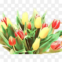 ��ͨ ������ �л�-������