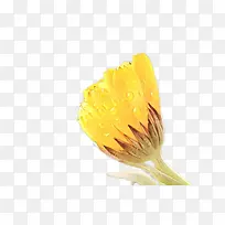 卡通 黄色 商品-空若网 卡通 黄色 商品-空若网