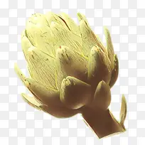 ��ͨ �� ֲ��-������