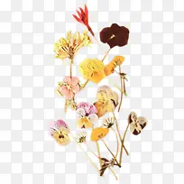 卡通 花卉设计 花卉-空若网 卡通 花卉设计 花卉-空若网