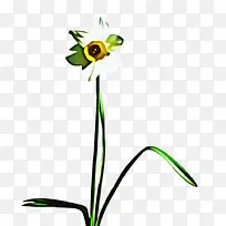 切花 植物茎 芽-空若网 切花 植物茎 芽-空若网