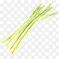 ��ͨ ��� ����Ʒ-������