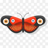 刷足蝴蝶 昆虫 飞蛾和蝴蝶-空若网 刷足蝴蝶 昆虫 飞蛾和蝴蝶-空若网