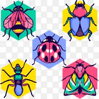 ¶Ô³Æ ÏßÌõ ÓлúÌå-¿ÕÈôÍø ¶Ô³Æ ÏßÌõ ÓлúÌå-¿ÕÈôÍø