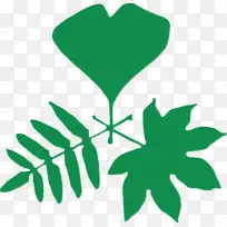 Ë®²Ê ÑÕÁÏ ÊªÄ«-¿ÕÈôÍø Ë®²Ê ÑÕÁÏ ÊªÄ«-¿ÕÈôÍø