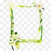 �Ա� ���� ����-������