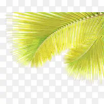 ��ͨ ����� ��ɫ-������