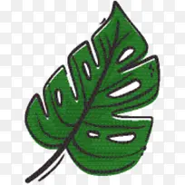 叶子 绿色 开花植物-空若网 叶子 绿色 开花植物-空若网