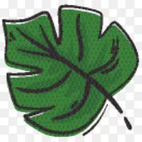 Ҷ�� ��ɫ ����ֲ��-������