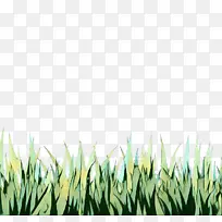 �������� ���� �Ŷ�-������